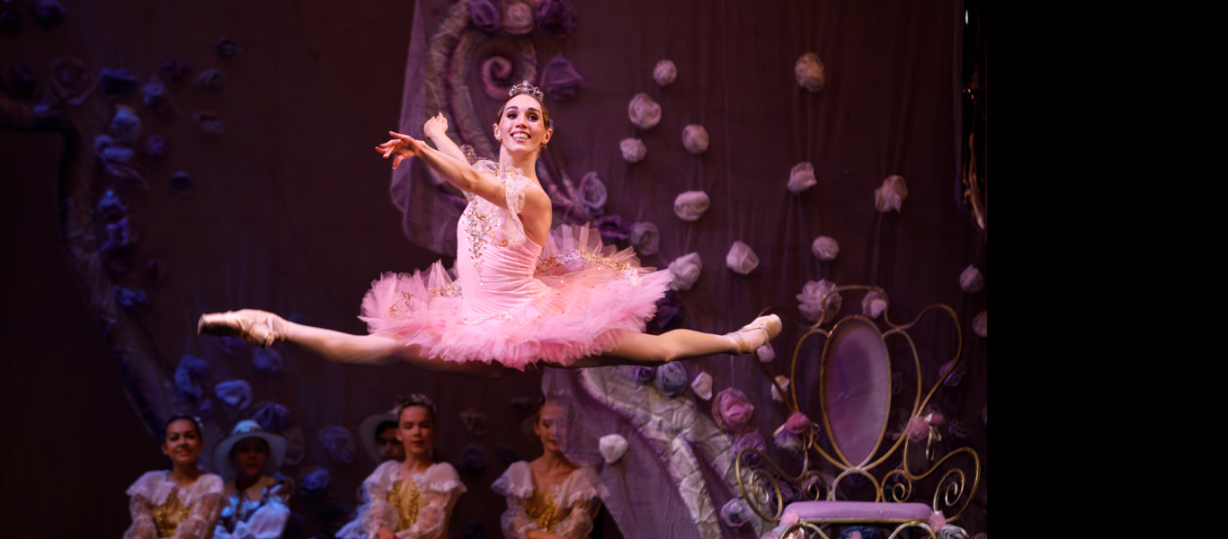 Sleeping Beauty: Russian State Ballet and Opera House Image