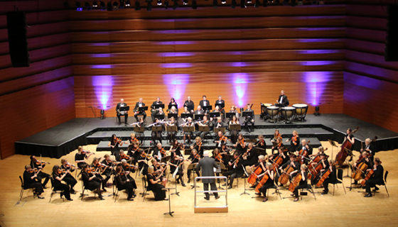Perth Symphony Orchestra Image