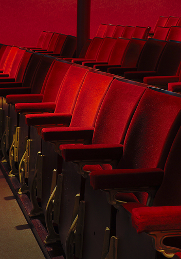 Musical Director - Show Band